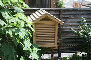 IMG_9139.jpg
